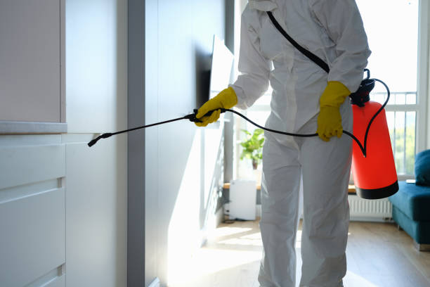 Environmental Consulting for Mold Prevention in Jenison, MI